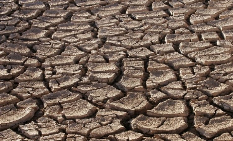 food security law benefits elude villagers in worst drought affected district