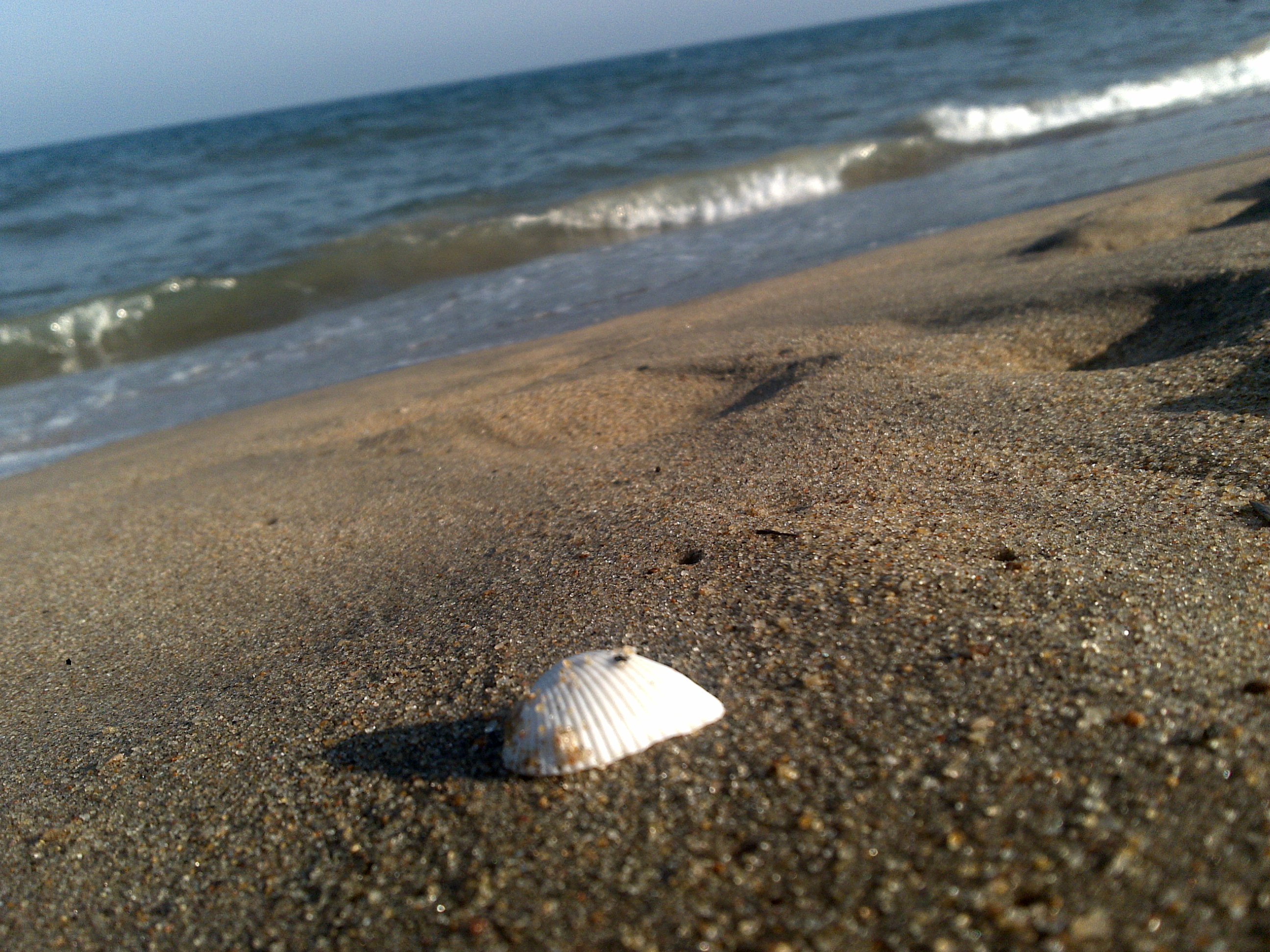 the many times she said yes  a teacher s note on a young suicide