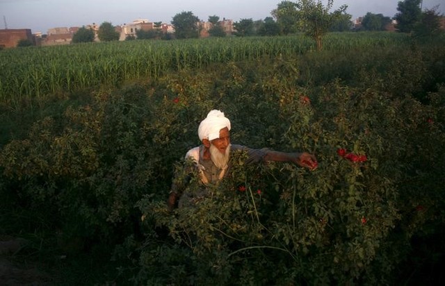 biogas pumps are making pakistani farms richer  greener