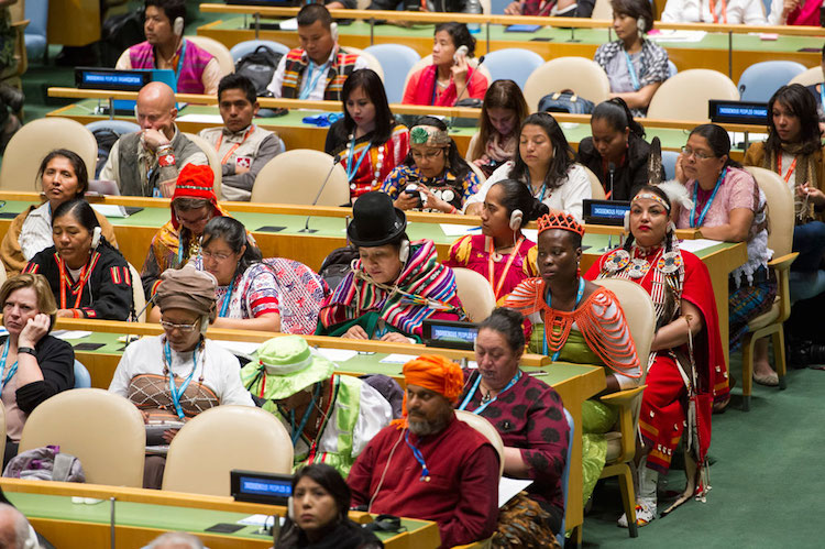 indigenous peoples insist on equality of all rights at un conference