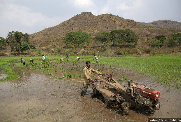 land reforms fail  5  of india’s farmers control 32  land