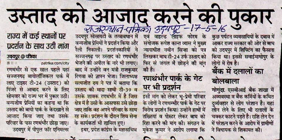 A newspaper clipping showing a report on a local campaign to save Ustad the tiger. Source: Rukmini Sekhar