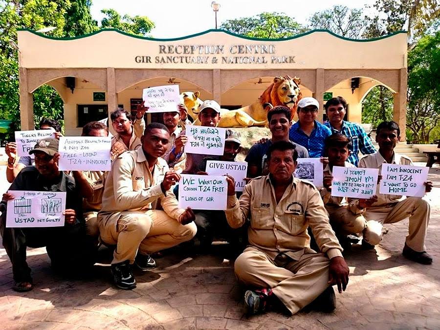 Locals demanding the return of Ustad to Ranthambore. Source: Rukmini Sekhar