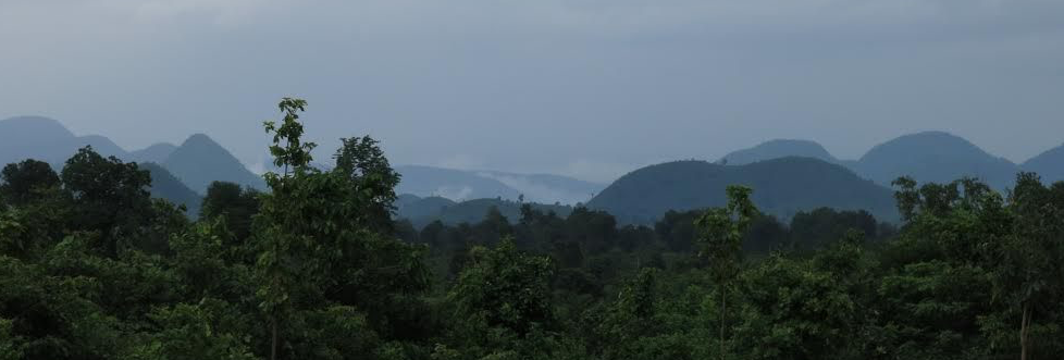 mining at any cost the odisha government s continued dismissal of adivasi rights