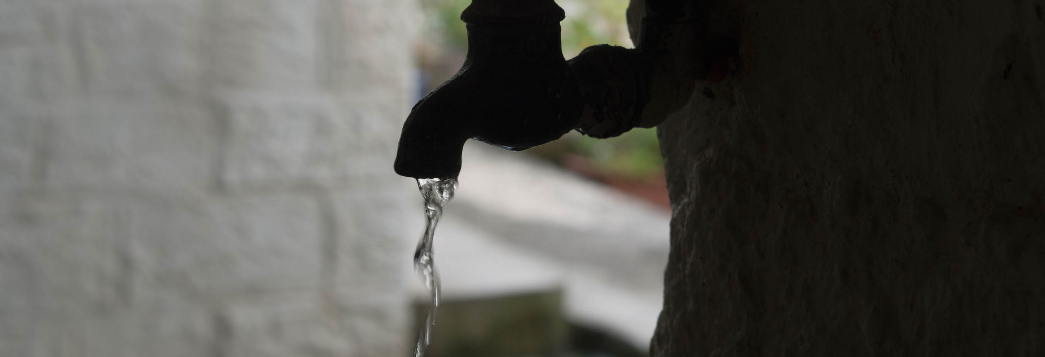 more than amrut indian cities need nature based solutions to revive themselves