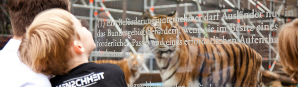 why one woman plans to walk into a cage of tigers in the middle of berlin