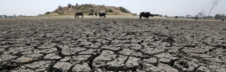 the next few weeks are crucial for drought hit bundelkhand
