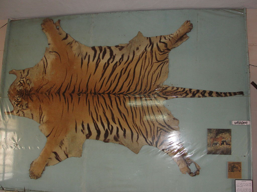 government accuses amazon  ebay of being involved in illegal wildlife trade