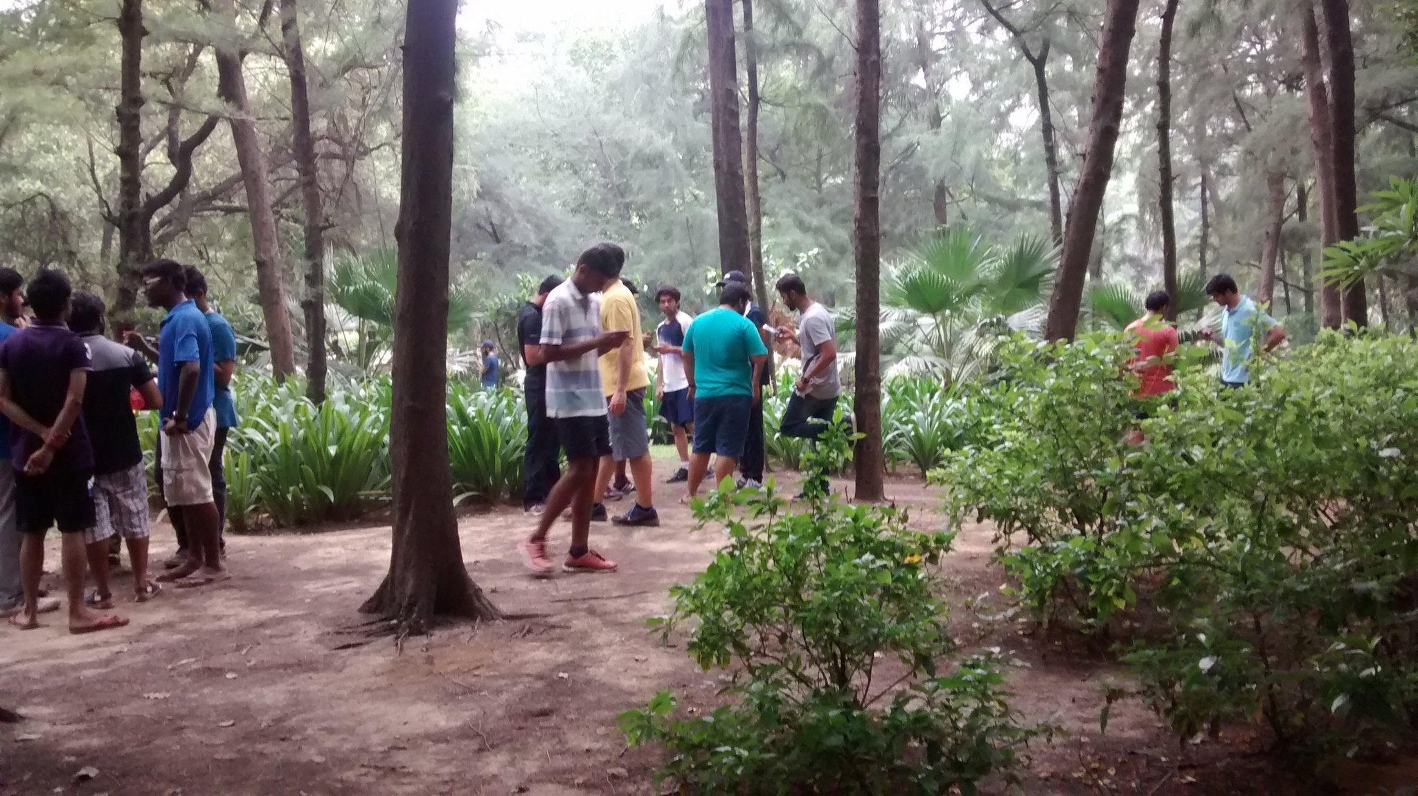 from lodhi gardens to connaught place can pokémon go battle the endgame grind