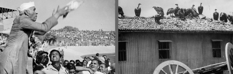 freedom  the nation and the perils of accidental justice