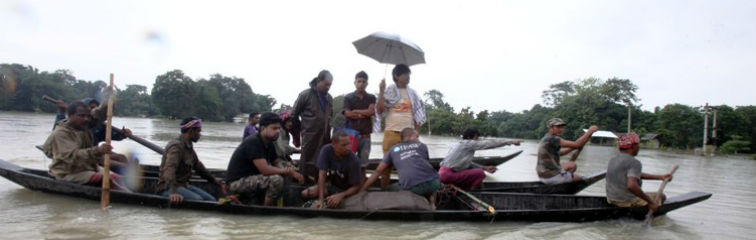 rescuing kaziranga s flood hit wildlife  a photo essay