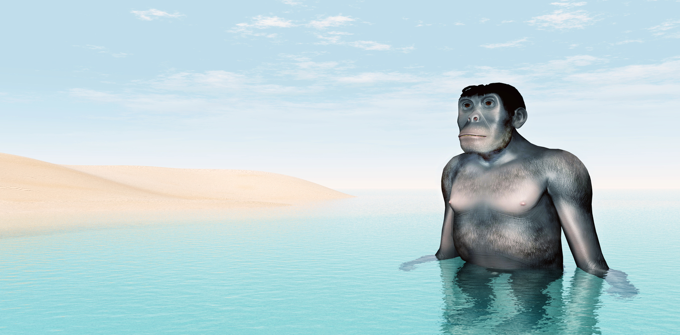 sorry david attenborough  we didn t evolve from ‘aquatic apes’ – here s why