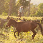 Jad, another tribal village in Chhindwara district, Madhya Pradesh, has no roads. Sriram, a teen, says his mare Kalli is used to transport those who are ill to the nearest town. Credit: Nikhil M. Babu/IndiaSpend