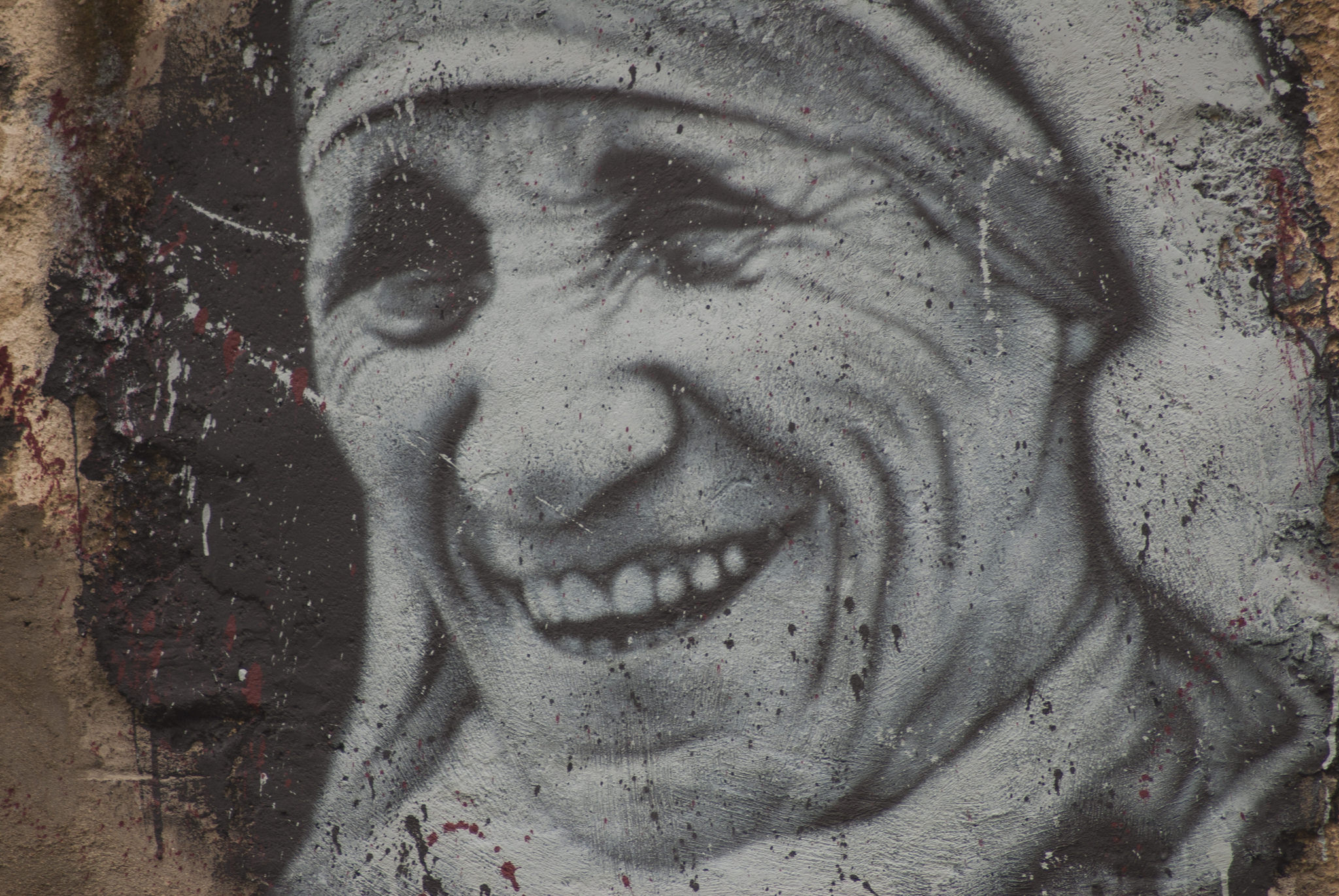 a look at the life of mother teresa