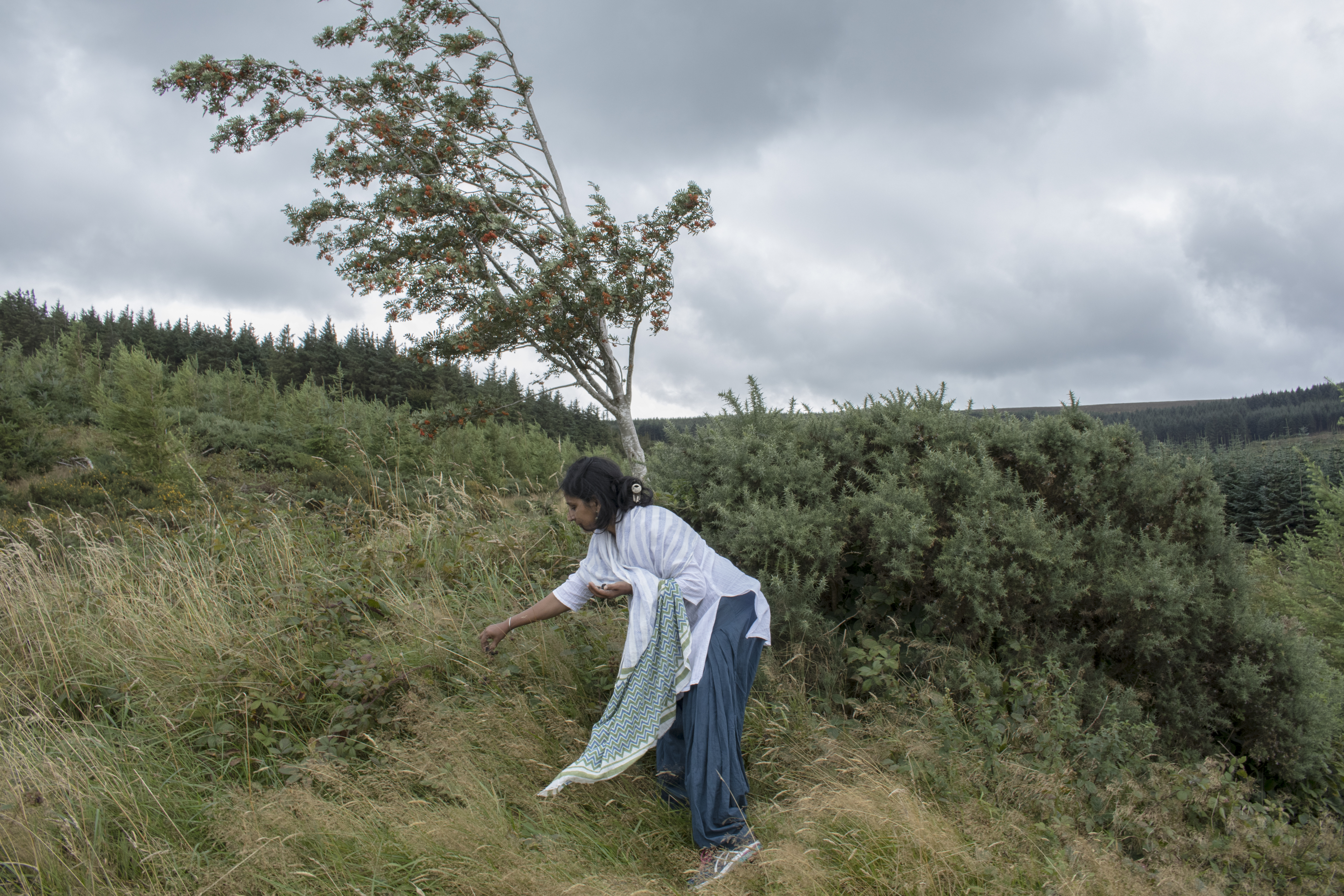 Nita Mishra picks berries on a hill close to her home in Dublin. This is where she often comes to think and write. A PhD student at the University of Cork, Ireland, Nita has two children – Narayani (19) and Tanay (12). She’s been living in Ireland for nine years now along with her family and she’s also a respected and published poet. Credit: Paroma Mukherjee