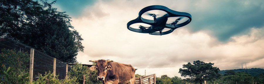 why drones are the latest buzz in agriculture