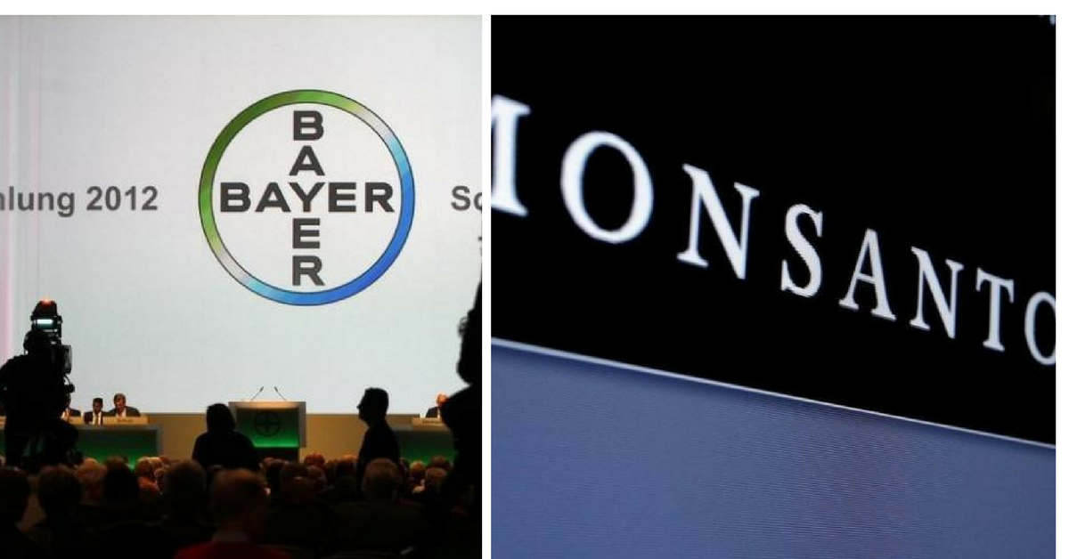 as bayer and monsanto merge  watch out for what happens to our food and farmers