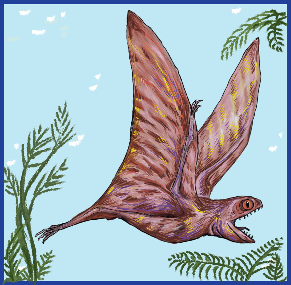 Anuroganthus. Credit: Ita Mehrotra