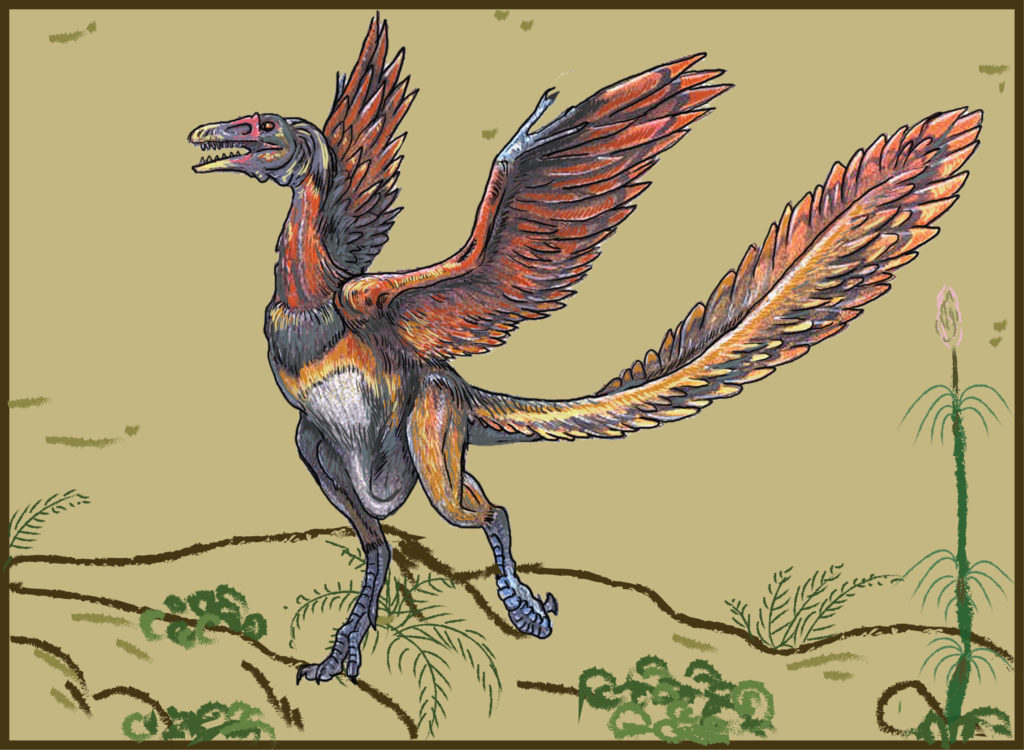 Archaeopteryx. Credit: Ita Mehrotra