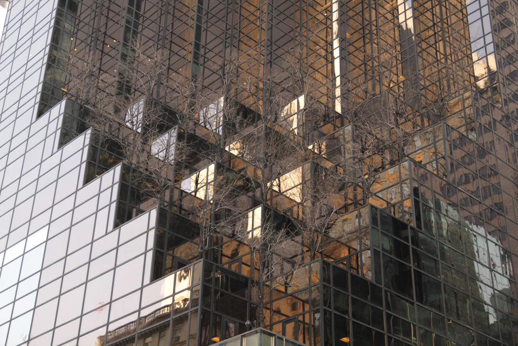 trump or no  climate change action will take a beating from long term economic forces anyway