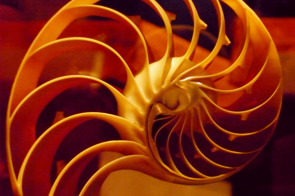 what are the preconditions for good research in the anthropocene epoch 