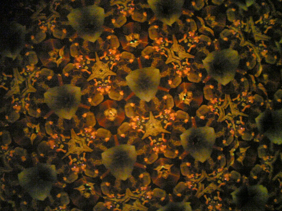 collidoscope  of care work  protests and high risk feminism