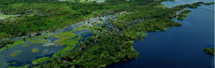 building dams with the enawenê nawê in the amazon rainforest