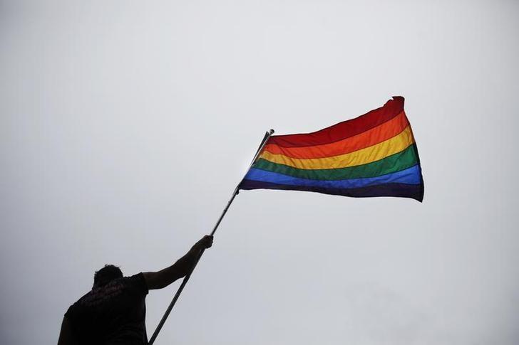 A man holds a flag as he takes part in an annual Gay Pride Parade in Toronto June 28, 2009. REUTERS/Mark Blinch