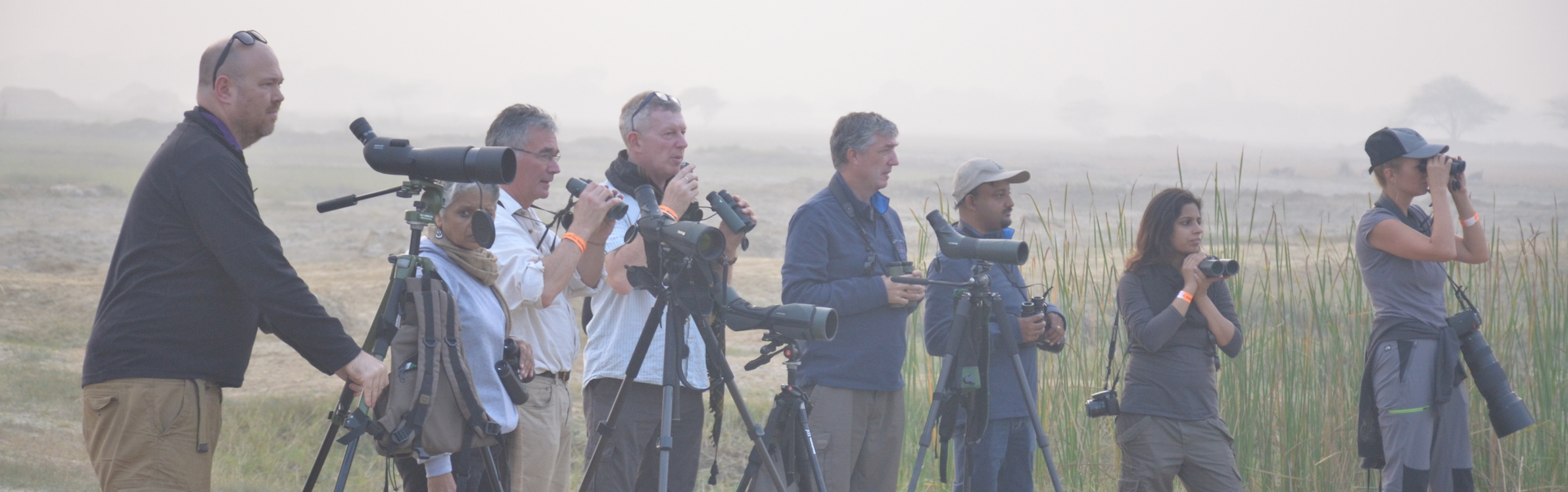 uttar pradesh s bird festival has become the largest in india