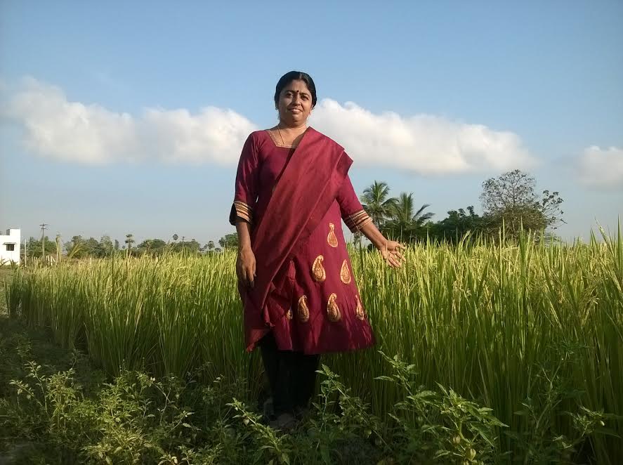 farmer s notebook  the life of a new farmer is seldom easy