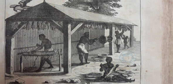 before race mattered  early encounters in the french colonies