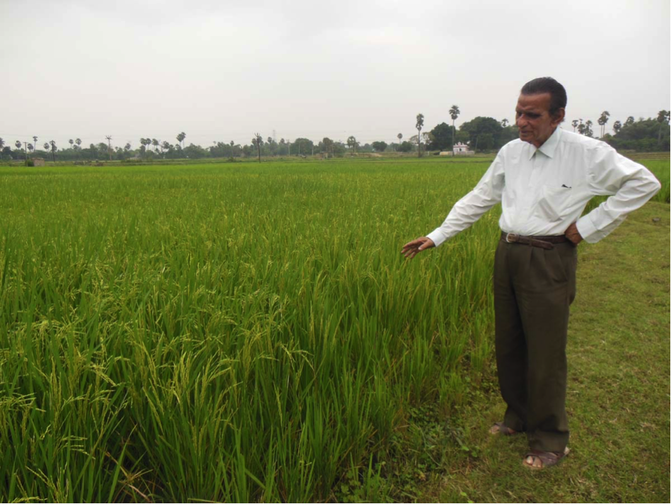 farmer s notebook  growing organic products isn t the problem  selling them is