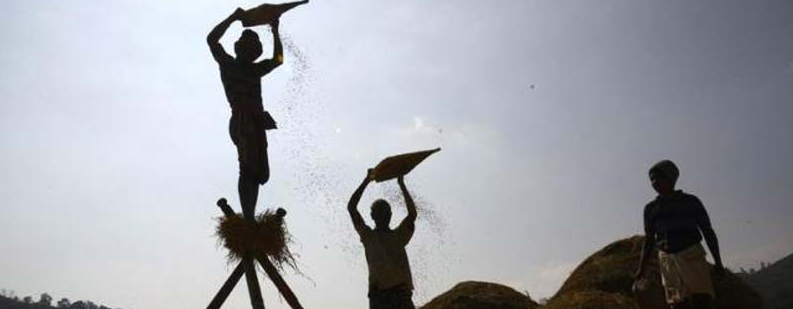 preconditions and resources exist for a basic income transfer to the poor  not universal