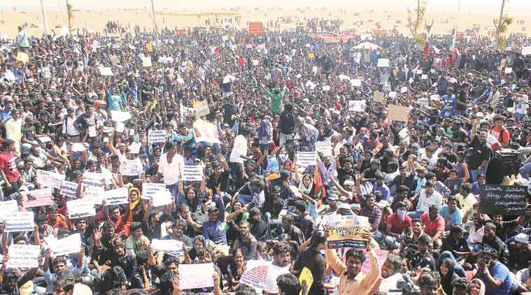  leaderless  jallikattu protest is aimed at centre s apathy  state government s weakness