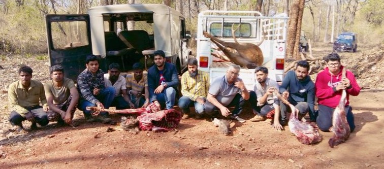 poaching gang of wealthy software engineers  coffee planters arrested