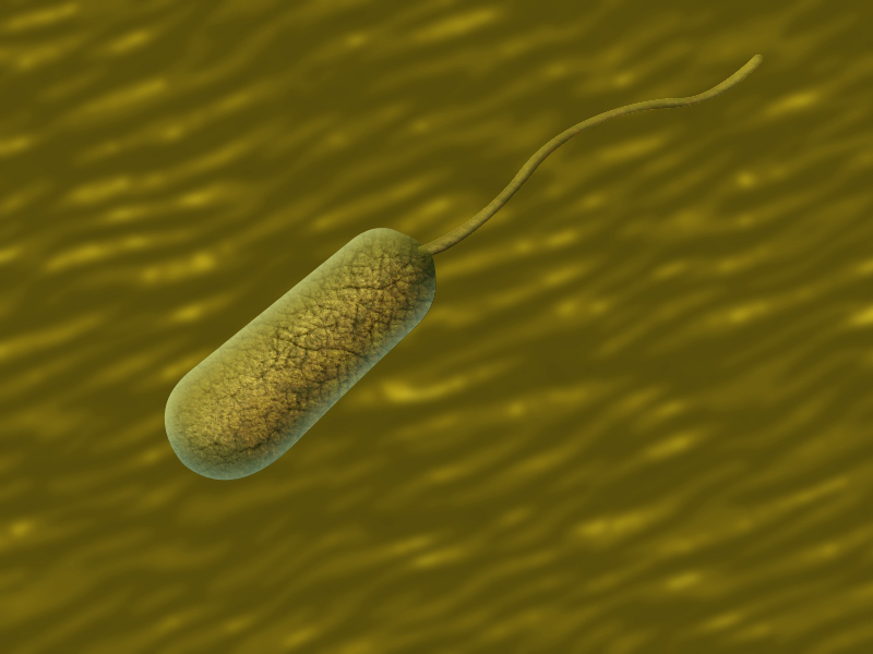 scientists in chennai uncover insights into tiny  self propelling  active particles 