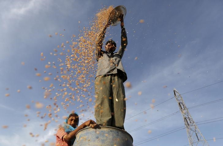 india s wheat imports rise above 5 million tonne  biggest in decade