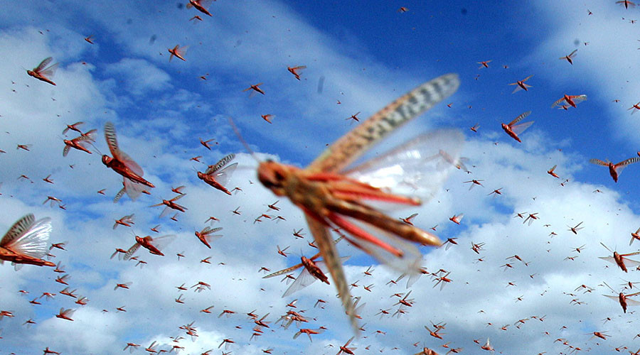 the swarm of war is india ready