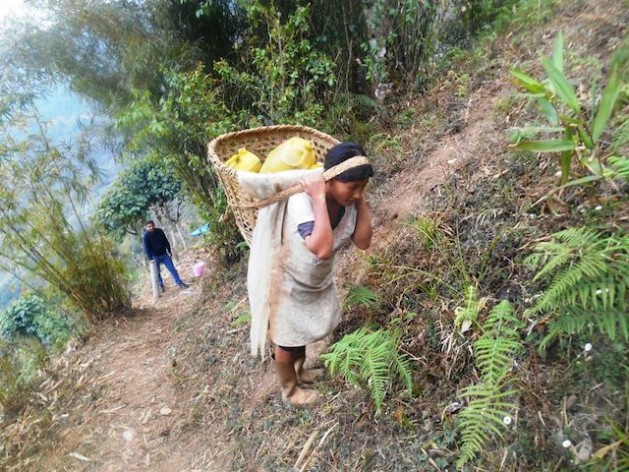 how a spring revival scheme in sikkim is defeating droughts