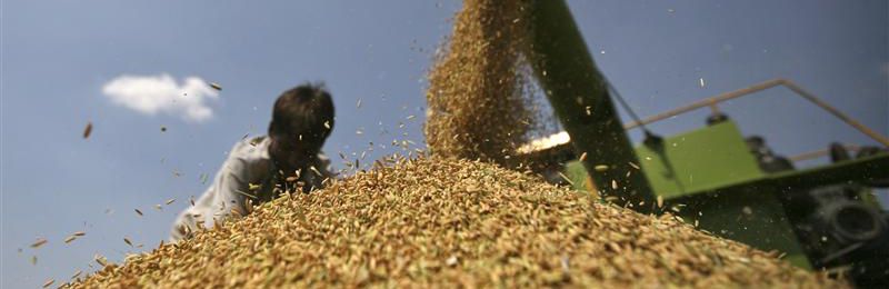 how a flawed national food security act is undermining kerala s pds lifeline