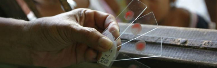 superbugs threaten global malaria control