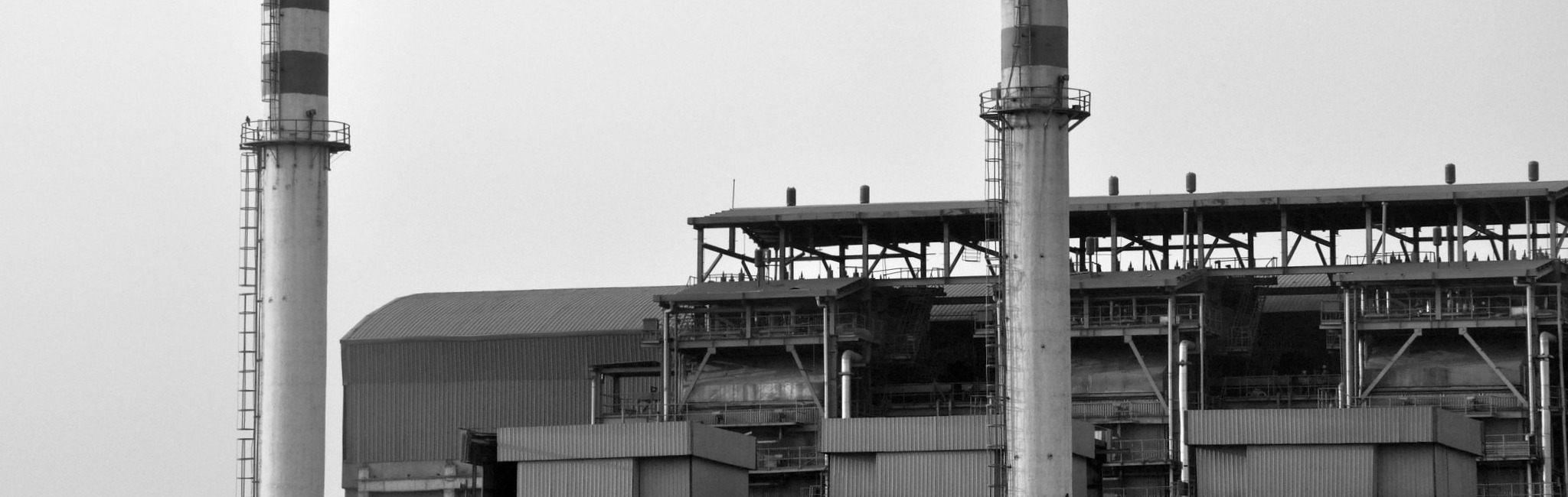 why the ngt okhla order sets a bad precedent for indian environmental jurisprudence