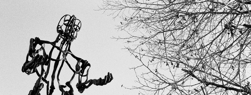 inequality in the robotic age