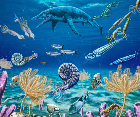 fossils show quick rebound of life after ancient mass extinction