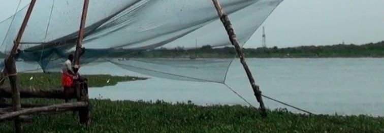 casting a net in fort kochi