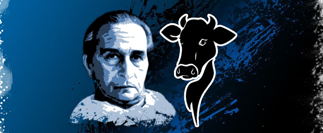 in other lands a cow is prized for its milk  in ours it is meant for clashes