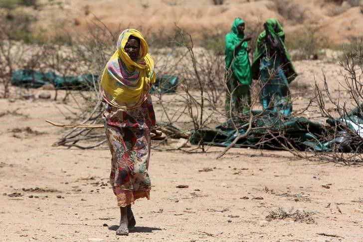 people needing food aid in ethiopia reaches 7 7 million due to drought