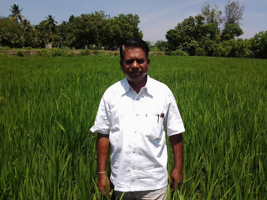 farmer s notebook  adapting in drought for a good yield