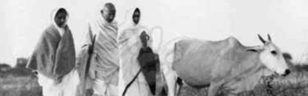 why gandhi preferred ‘goseva’ to ‘goraksha’
