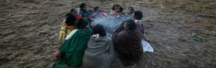 armed with a toothless law  the plight of the adivasi worsens